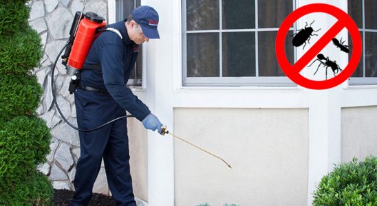 Seyrekköy Karınca İlaçlama böcek ilaçlama ve haşere kontrolü — ilaclama-tr.com